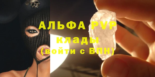 стафф Алексин