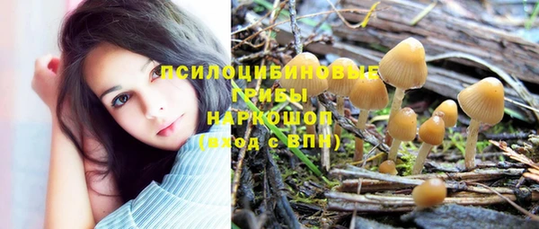 стафф Алексин