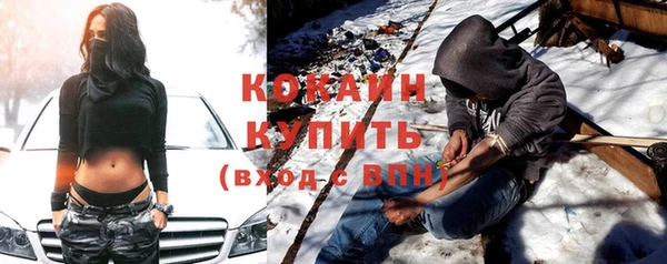 стафф Алексин