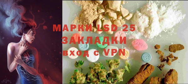стафф Алексин
