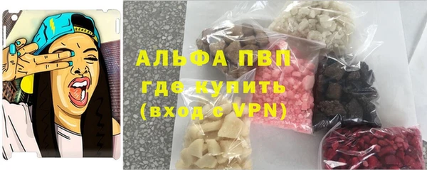 стафф Алексин